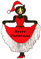 Jasmine the cat in Santa clothes