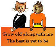 A line of cats and hearts featuring Brut, Slenderella, Mr. Wrong and Bruno