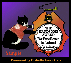 The Handsome Award The Handsome Award