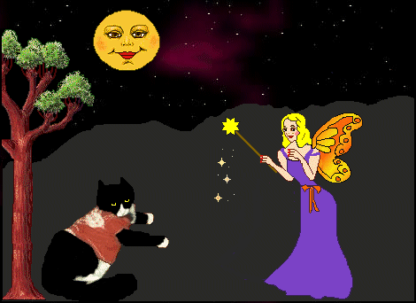 Handsome and Angel Ariella Handsome and Angel Ariella in forest