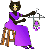 cat: purple necklace
