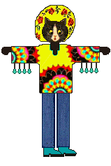 cat: hippie top
