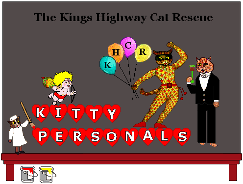 Kings Highway Cat Rescue Kings Highway Cat Rescue banner