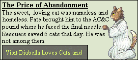 Please help the cats