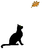 Cat Cat chasing Leaf