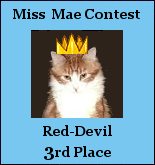 Red-Devil's winning award