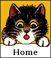 Home Button