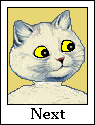 Next Button