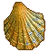 Seashell