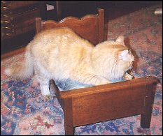 I'm too large for this bed.