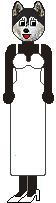 Dressed dog looks in mirror